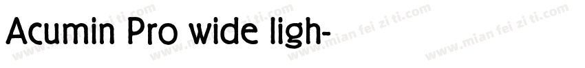 Acumin Pro wide ligh字体转换